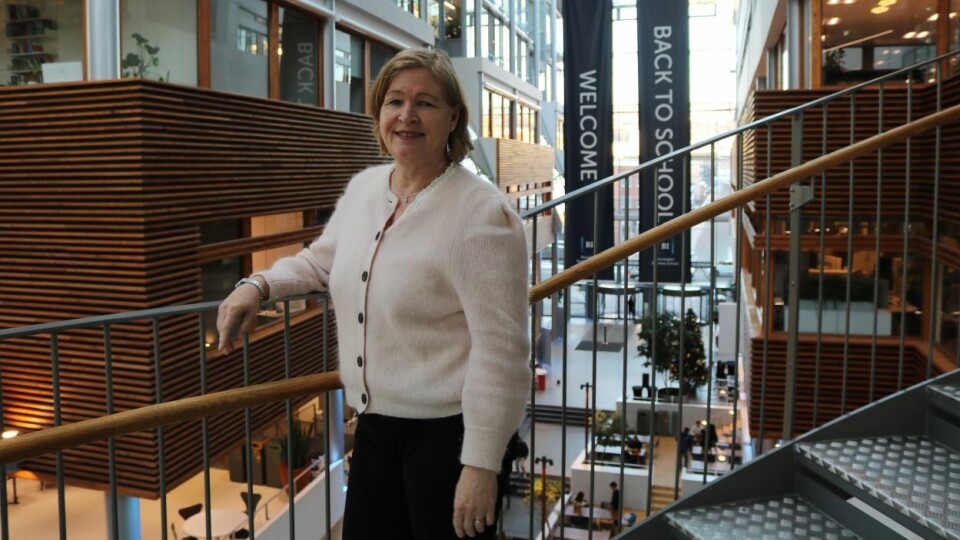 Professor og sosialantropolog Benedicte Brøgger ved Handelshøyskolen BI forsker og underviser i ‘krysskulturell ledelse’.
