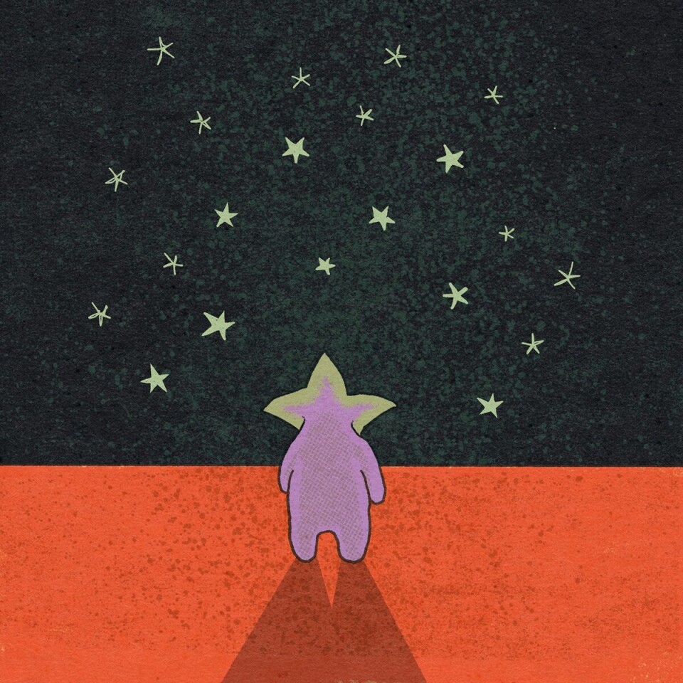 Jaget etter oppmerksomhet: Å bli sett