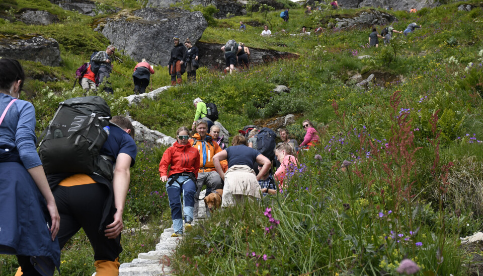 Om sommeren går mange hundre turister daglig opp sherpatrappa til Reinebringen i Lofoten. Bør de betale en egen turistskatt? Ja, mener Tor W. Andreassen.