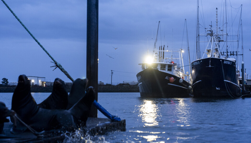 En filippinsk sjømann, Reyner Dagalea, har fortalt at han i månedsvis ble værende på fiskebåten Dayna S mens han ventet på lønn.