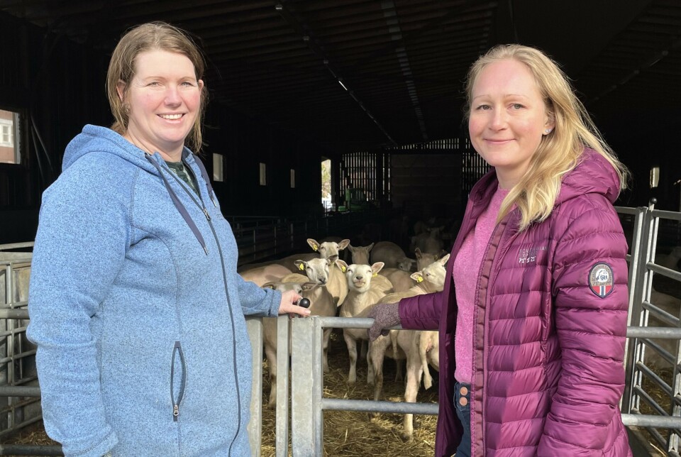 Gårdbruker Heidi Akselsen fra Grønnsletta på Hurum (til venstre) gleder seg til å levere egg, syltetøy, pølser og lammekjøtt til barn, eldre og offentlig ansatte i Bærum. Her sammen med sjefen for Kortreist mat-prosjektet, Ingeborg Briseid Kraft. Gårdbruker Heidi Akselsen fra Grønnsletta på Hurum (til venstre) gleder seg til å levere egg, syltetøy, pølser og lammekjøtt til barn, eldre og offentlig ansatte i Bærum. Her sammen med sjefen for Kortreist mat-prosjektet, Ingeborg Briseid Kraft.