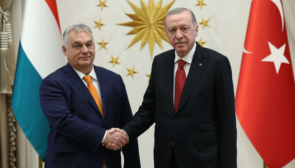 Gjenvalgene av Viktor Orbán i Ungarn og Recep Tayyip Erdogan i Tyrkia er eksempler på at autoritære kandidater igjen får, eller skaffer seg, tilslutning, skriver Finn Jarle Rode. Gjenvalgene av Viktor Orbán i Ungarn og Recep Tayyip Erdogan i Tyrkia er eksempler på at autoritære kandidater igjen får, eller skaffer seg, tilslutning, skriver Finn Jarle Rode.