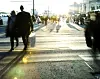 Silhouettes of backlit people walking to catch the ferry for Nesodden at sunset . Aker Brygge, Oslo, Norway.