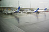 SAS-fly står på våt flyplassramp i regnvær på Gardermoen.
