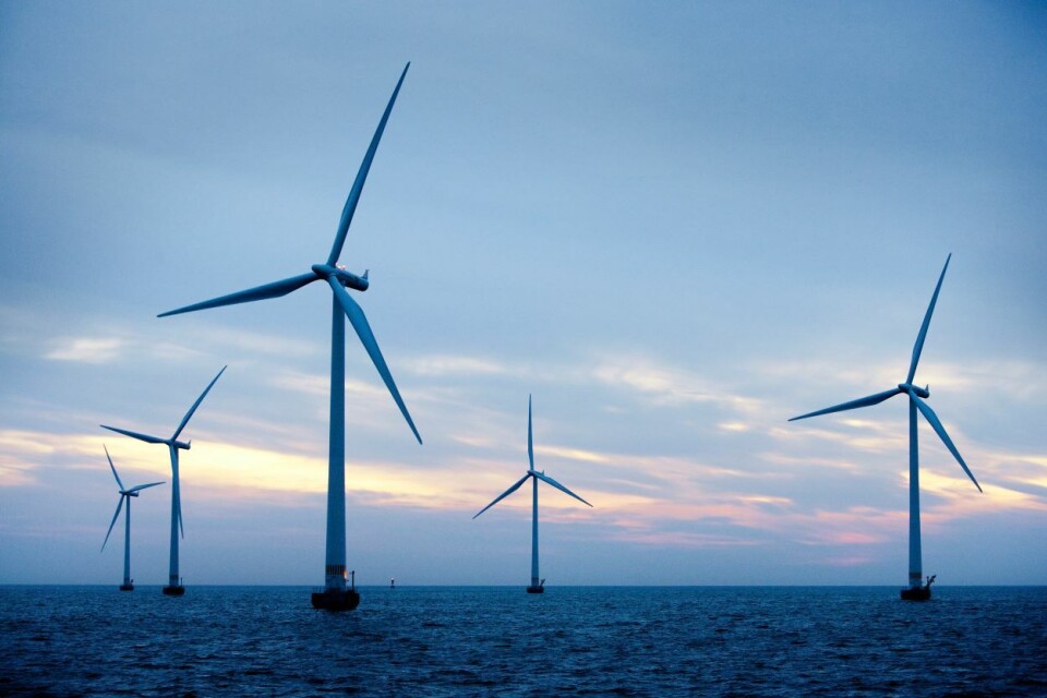 Det er en skandale at Norge ikke har vært mer aggressiv i utbyggingen av vindkraft, mener leder Indra Øverland for NUPIs Senter for energiforskning.