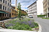 Bygate med lilla blomsterbed, grønne planter, lyse bygårder og biler.
