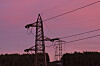 Flere strømmaster står mot en rosa himmel over en mørk skog i Oslo.