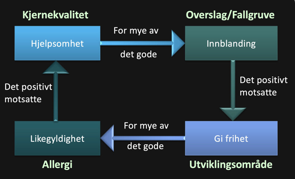 Kjernekvadranten kan brukes som en personlig utviklingsmodell. Det kan være nyttig å tenke gjennom og bli klar over egne styrker, overslag, utviklingsområder og allergier. Illustrasjon: Mariann Crantz