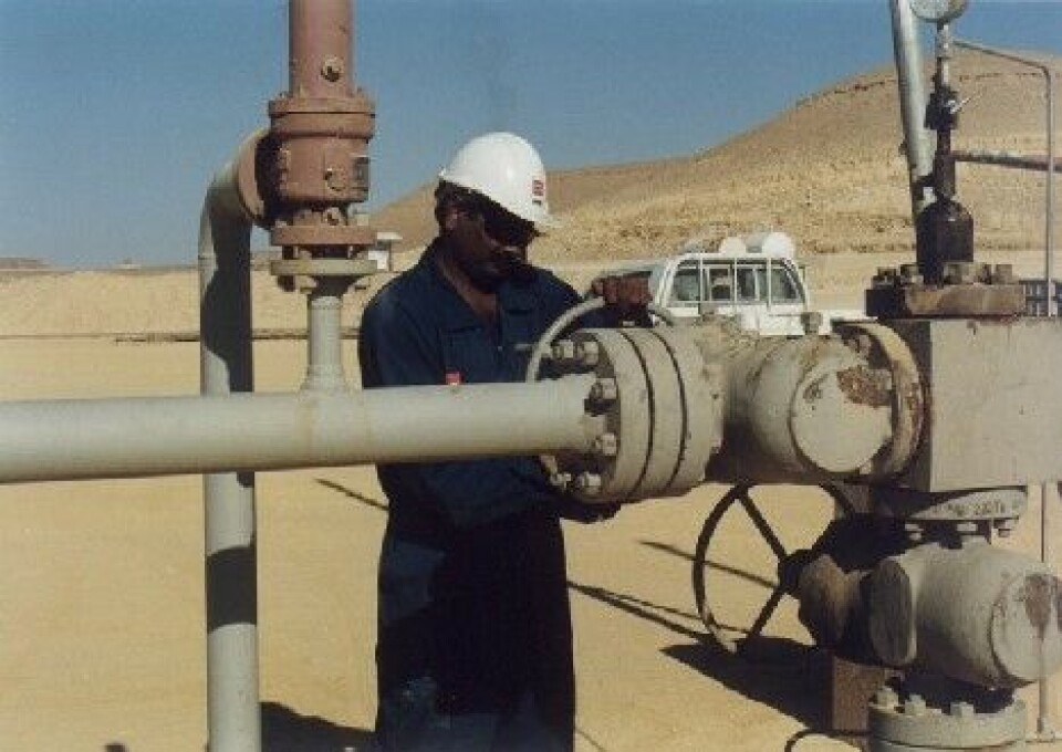 Statoil bør kjøpe DNO