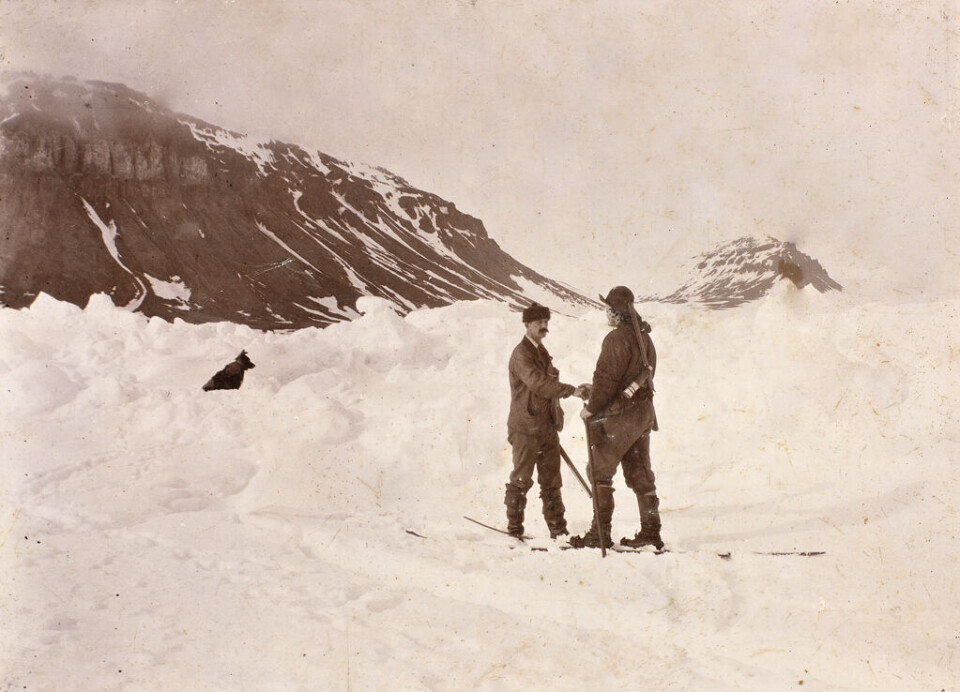 Det var målbevisst vitenskapelig arbeid som la grunnlaget for den Nansen som i dag fremstår som det moderne Norges første helt. Her møter Nansen (til høyre) Frederick Jackson på Cape Flora i 1896.