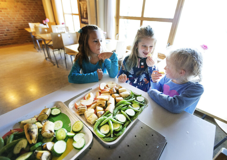 Gratis skolemat ikke som tvangstrøye