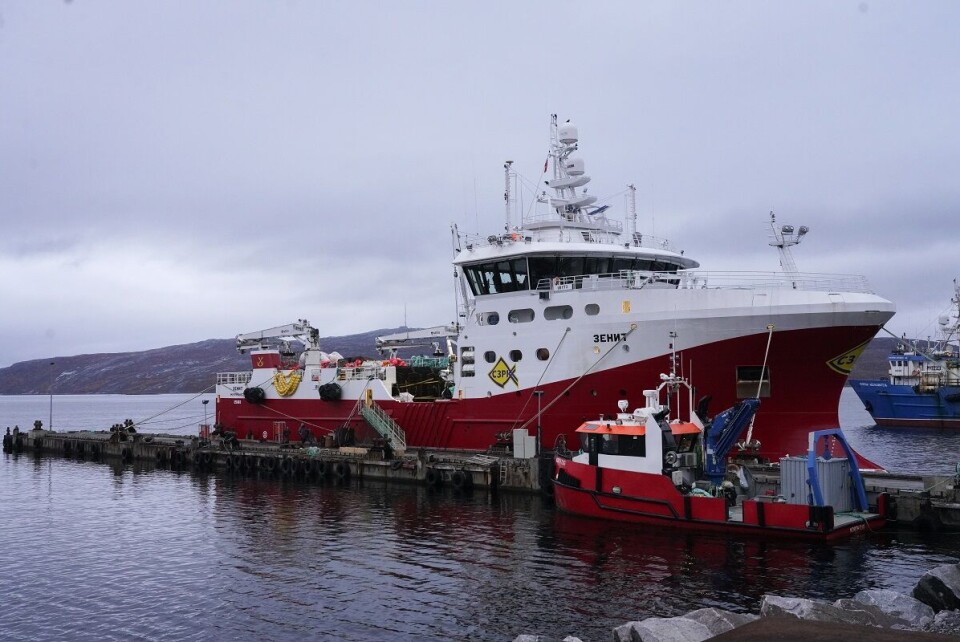 Regjeringen vil la russiske båter legge til kai. Her ligger en russisk fiskebåt ved kai i Kirkenes. Foto: Terje Bendiksby | NTB