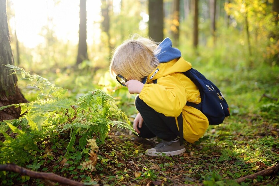 De aller fleste har litt å hente på å innta et forskermodus oftere enn vi gjør, skriver Mariann Crantz. Illustrasjonsfoto: sbytovamn / iStock Photos